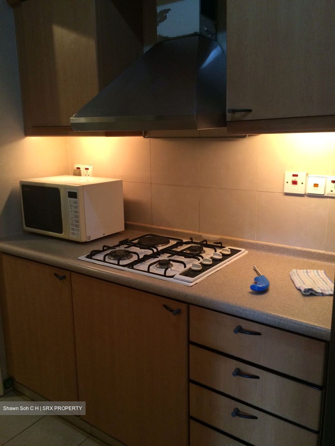 Nineteen Shelford Road (D11), Condominium #447956271